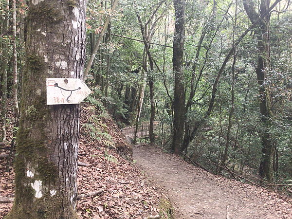 司馬庫斯二日遊(中)