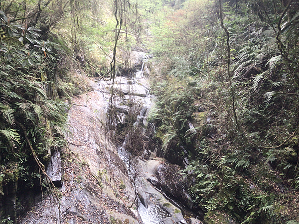 司馬庫斯二日遊(中)