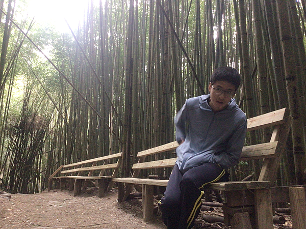 司馬庫斯二日遊(中)