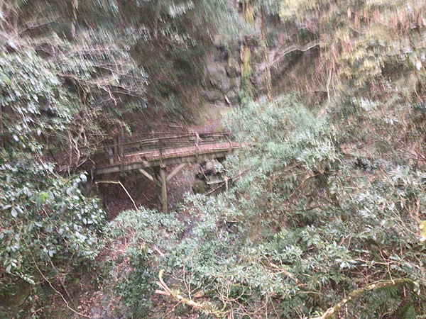 司馬庫斯二日遊(中)