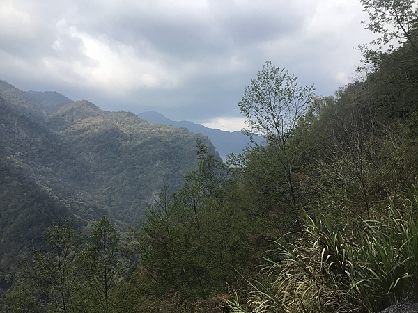 司馬庫斯二日遊(中)