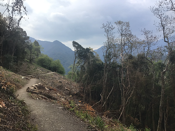 司馬庫斯二日遊(中)