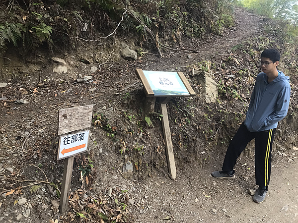 司馬庫斯二日遊(中)