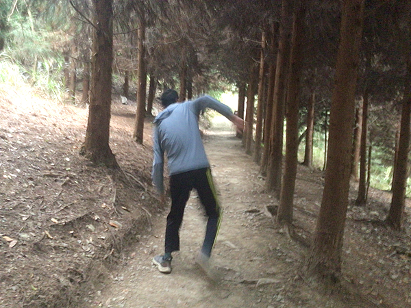 司馬庫斯二日遊(中)