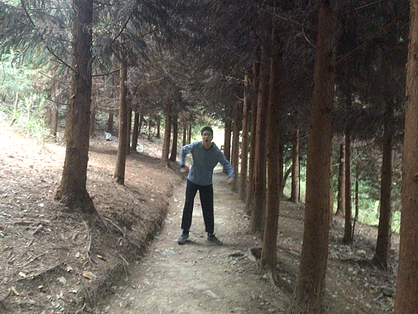 司馬庫斯二日遊(中)