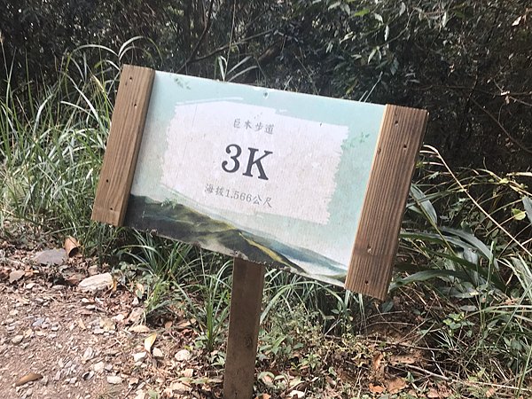 司馬庫斯二日遊(中)