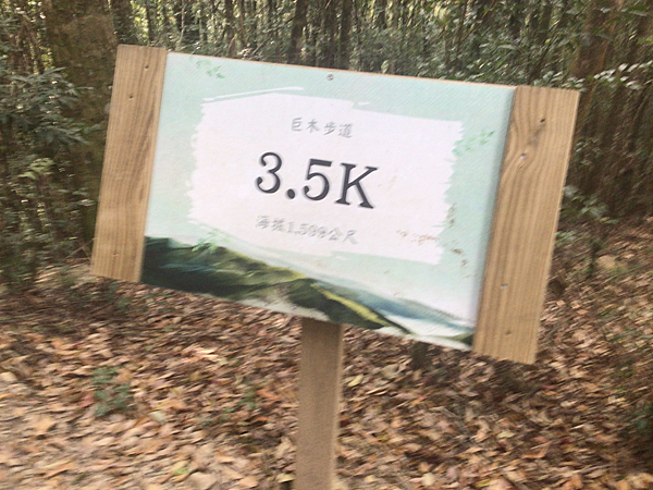 司馬庫斯二日遊(中)