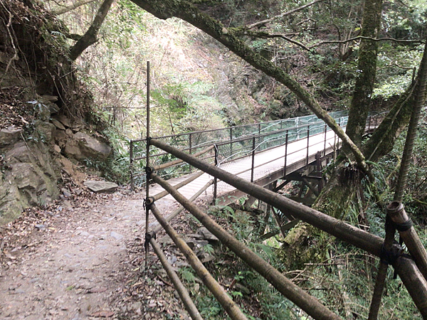 司馬庫斯二日遊(中)