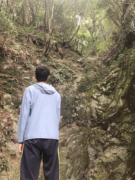 司馬庫斯二日遊(中)