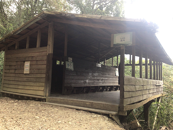 司馬庫斯二日遊(中)