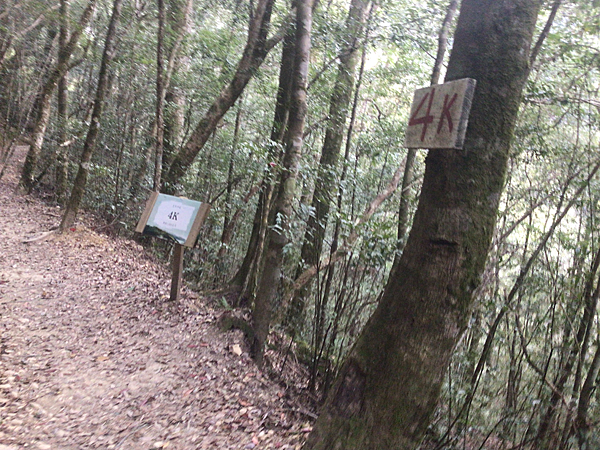 司馬庫斯二日遊(中)