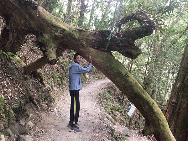 司馬庫斯二日遊(中)