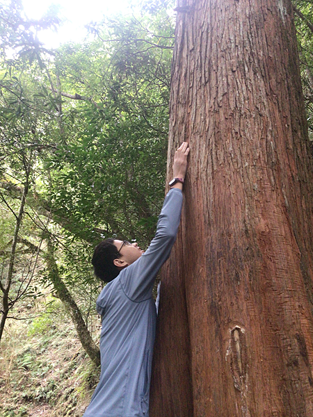 司馬庫斯二日遊(中)