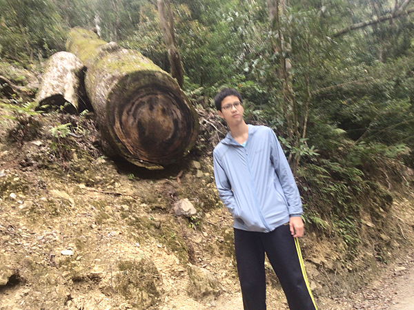 司馬庫斯二日遊(中)