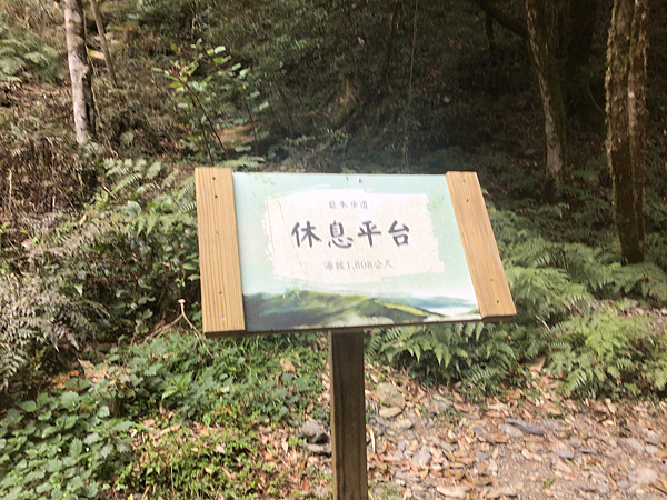 司馬庫斯二日遊(中)