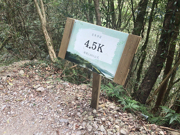 司馬庫斯二日遊(中)