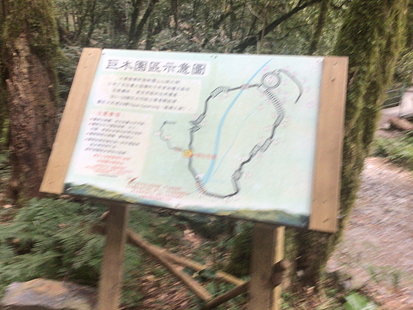 司馬庫斯二日遊(中)