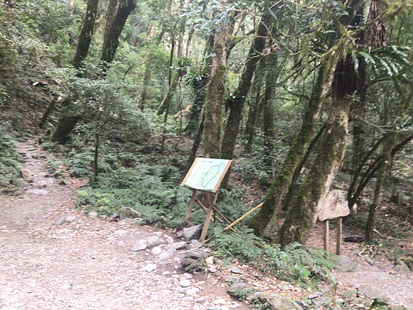 司馬庫斯二日遊(中)