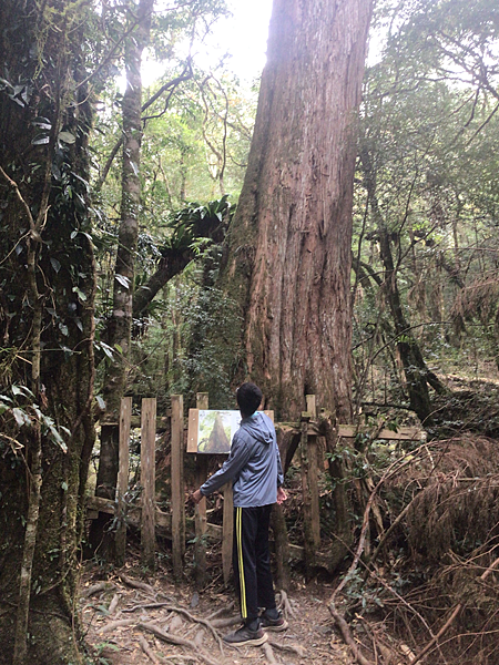 司馬庫斯二日遊(中)