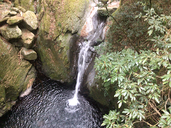 司馬庫斯二日遊(中)