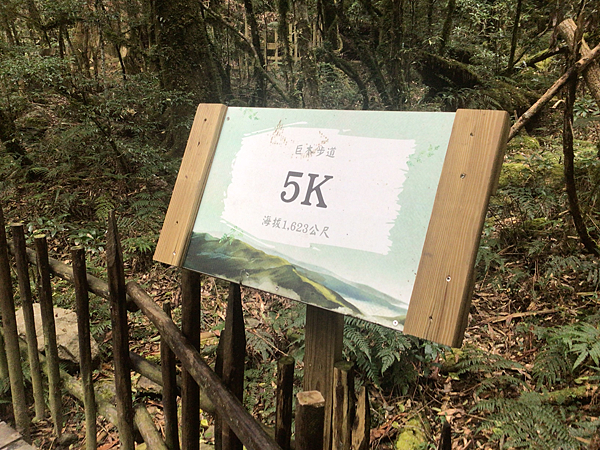 司馬庫斯二日遊(中)