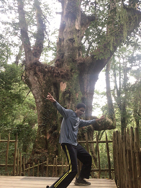 司馬庫斯二日遊(中)