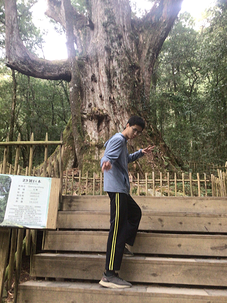 司馬庫斯二日遊(中)