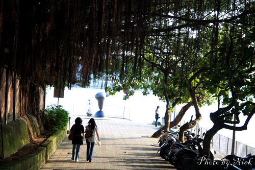 IMG_0048海關碼頭旁垂滿榕樹氣根的斜坡道.jpg