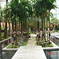 飯店內的中庭花園