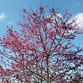 20120202_133812.jpg