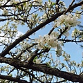 20120202_133920.jpg