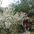 20120202_134106.jpg