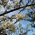 20120202_142455.jpg