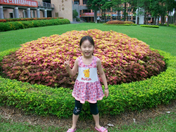 世華駕訓班台中世華駕訓班台中市世華駕訓班台中市駕訓班 006.jpg