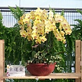 世華駕訓班孫文生0958-363395 229.jpg