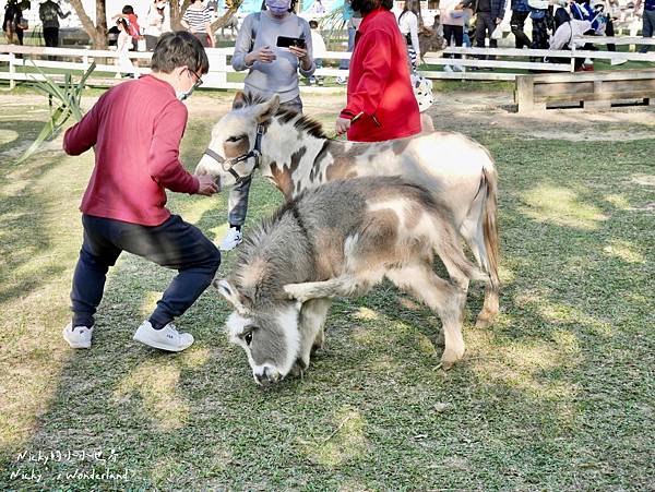 LINE_ALBUM_20220418富田香草休閒農場_220418_89