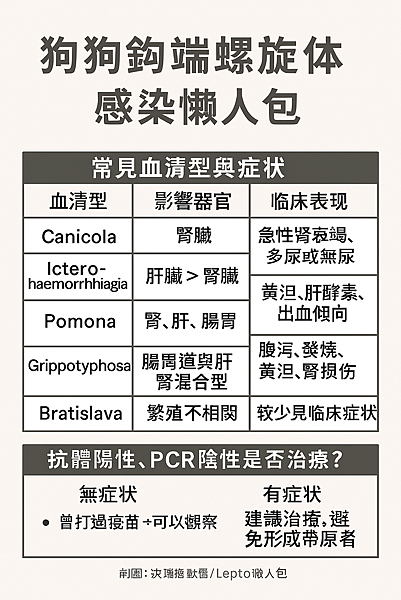狗狗鉤端螺旋體症（Leptospirosis）：症狀、診斷與