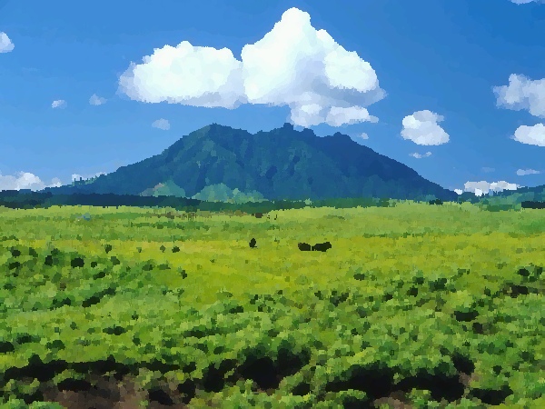 相片實驗室 - 特效百匯 - 油畫