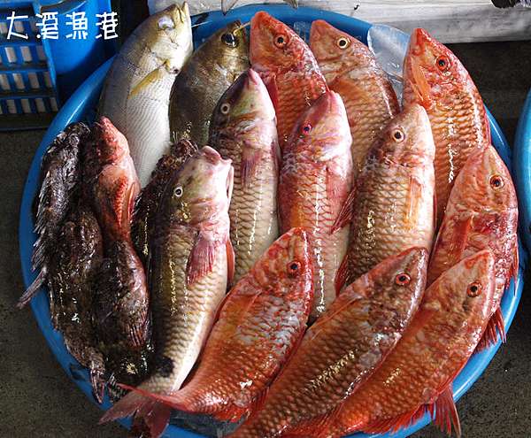 頭城 大溪漁港海鮮餐廳 Nicole的生活日記 痞客邦 頭城 大溪漁港海鮮餐廳 Nicole的生活日記 痞客邦