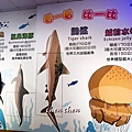金車水產養殖研發中心 (10).JPG