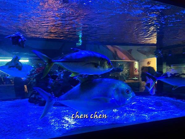 金車水產養殖研發中心 (14).JPG