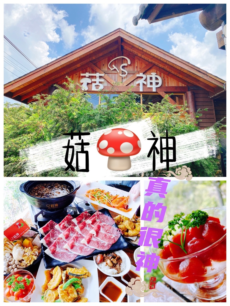 菇神 (3).jpg 菇神 (3).jpg