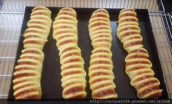 11960332_896080193760602_1516001625_o