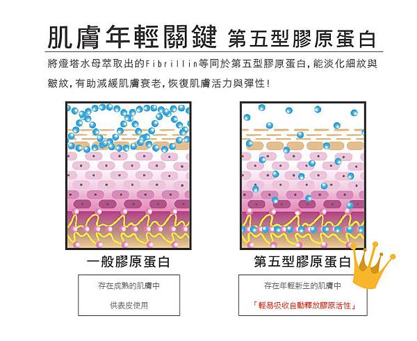 試用