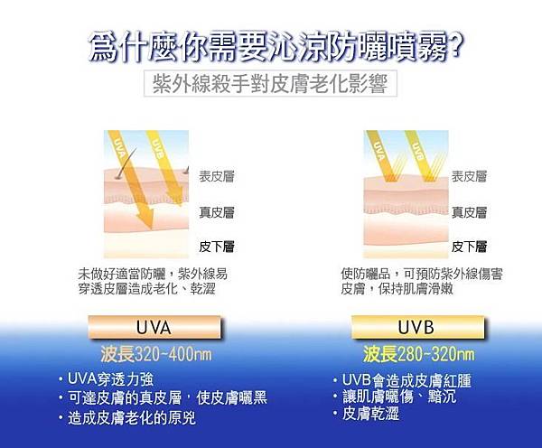 1-1.JPG 試用