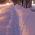 注意看 就知道雪有多深 