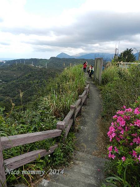 紅淡山28.JPG