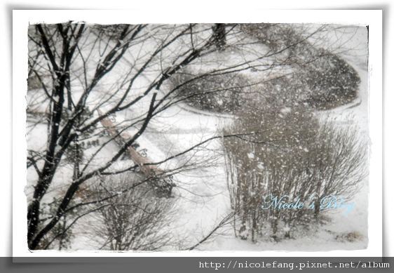 下雪 下雪