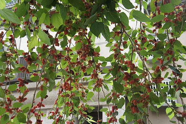 kIDDR3663uxTf6ndfhy2Og.jpg kIDDR3663uxTf6ndfhy2Og.jpg