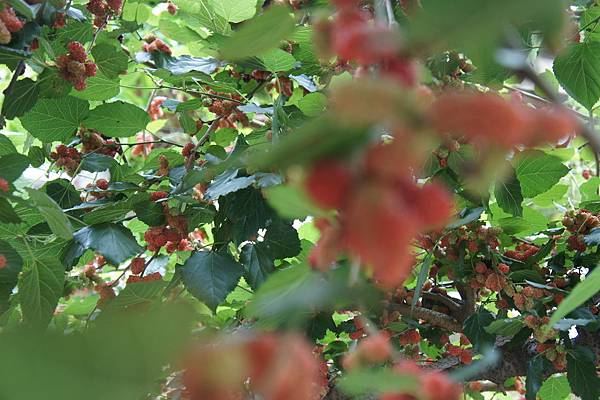 VuiyhYFEa_L7qtYEEHrmjg.jpg VuiyhYFEa_L7qtYEEHrmjg.jpg